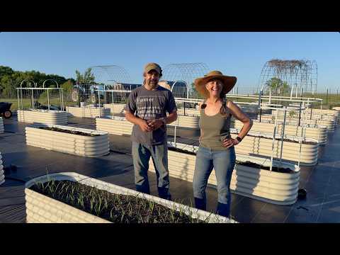 Expanding the garden again! More raised beds, more food!