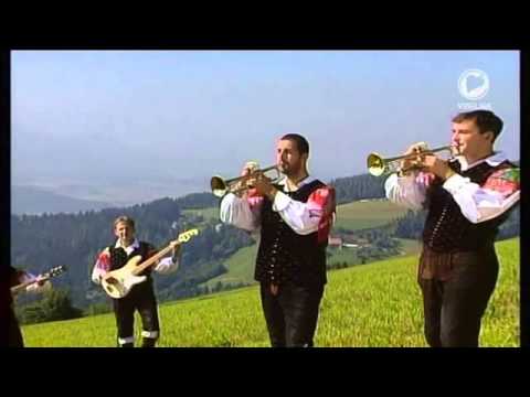 ans. Šibovniki Tip kot kip