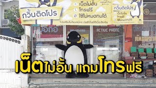 ซิมเพนกวิน ติดโปร...ระวังจะติดใจ
