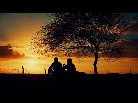 FREE LOVE  -  IGOR YURIEV