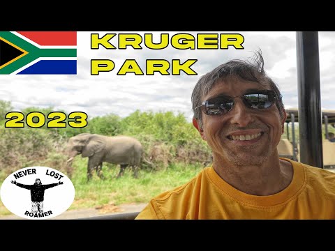 WHAT IS IT LIKE TO TAKE AN AFRICAN SAFARI IN KRUGER NATIONAL PARK IN 2023? South Africa