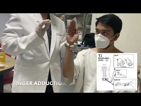 Physical Examination of the Spine