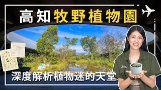 四國高知必去景點！高知牧野植物園，植物迷的天堂，「日本植物學之父」牧野富太郎一生的成就，來到四國別錯過！#四國景點 #高知景點 #高知必去