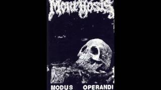 Morphosis - Perpetual Enmity