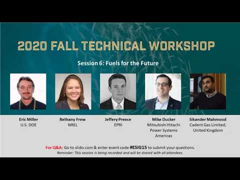 2020 Fall Workshop Session 6: Fuels for the Future