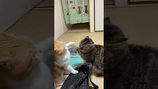 ※ケンカしてます