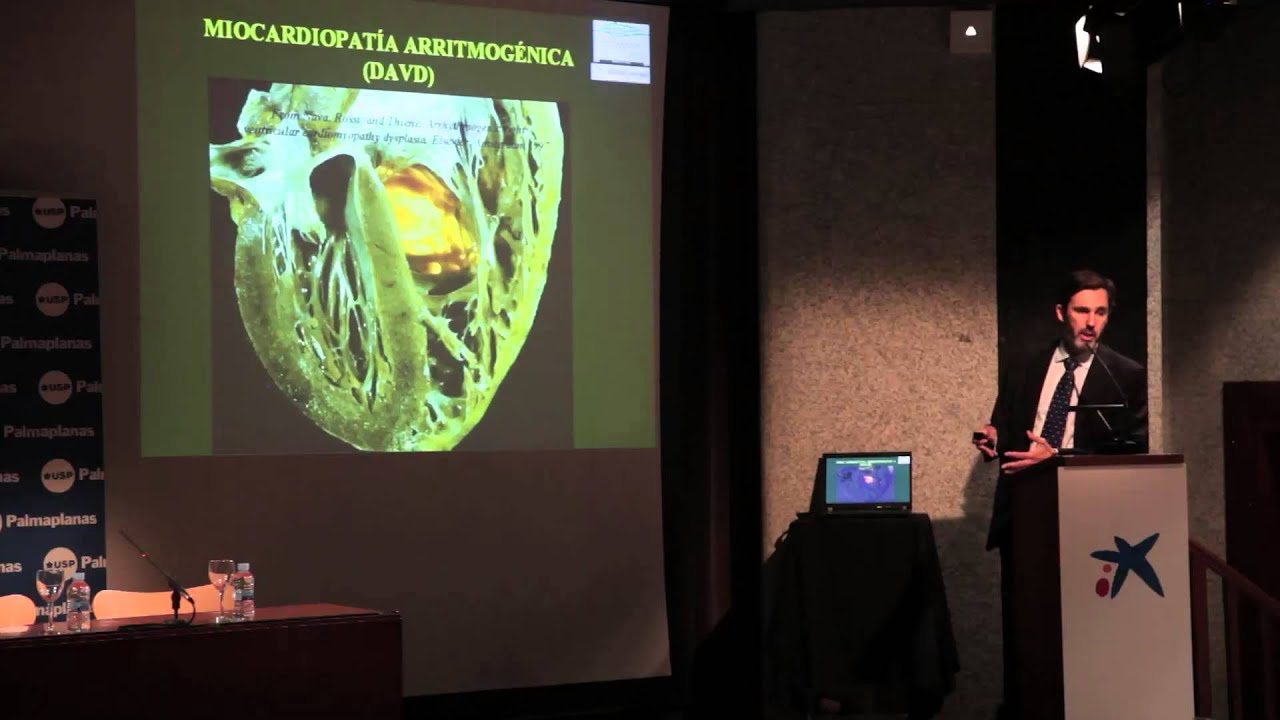 Tomás Ripoll Vera-31