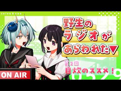 野生のラジオがあらわれた▼　第2回 自炊のススメ
