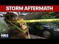 Severe Storms Leave Trail Of Damage Across NYC And New Jersey