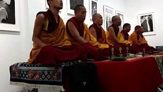 Gyuto Monks Chanting 140416