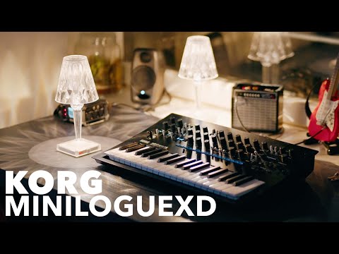 Korg Minilogue XD // It can sound EXPENSIVE! [no external FX]
