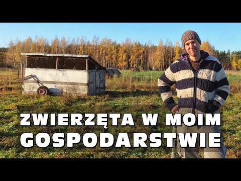 , title : 'Zwierzęta w moim gospodarstwie'