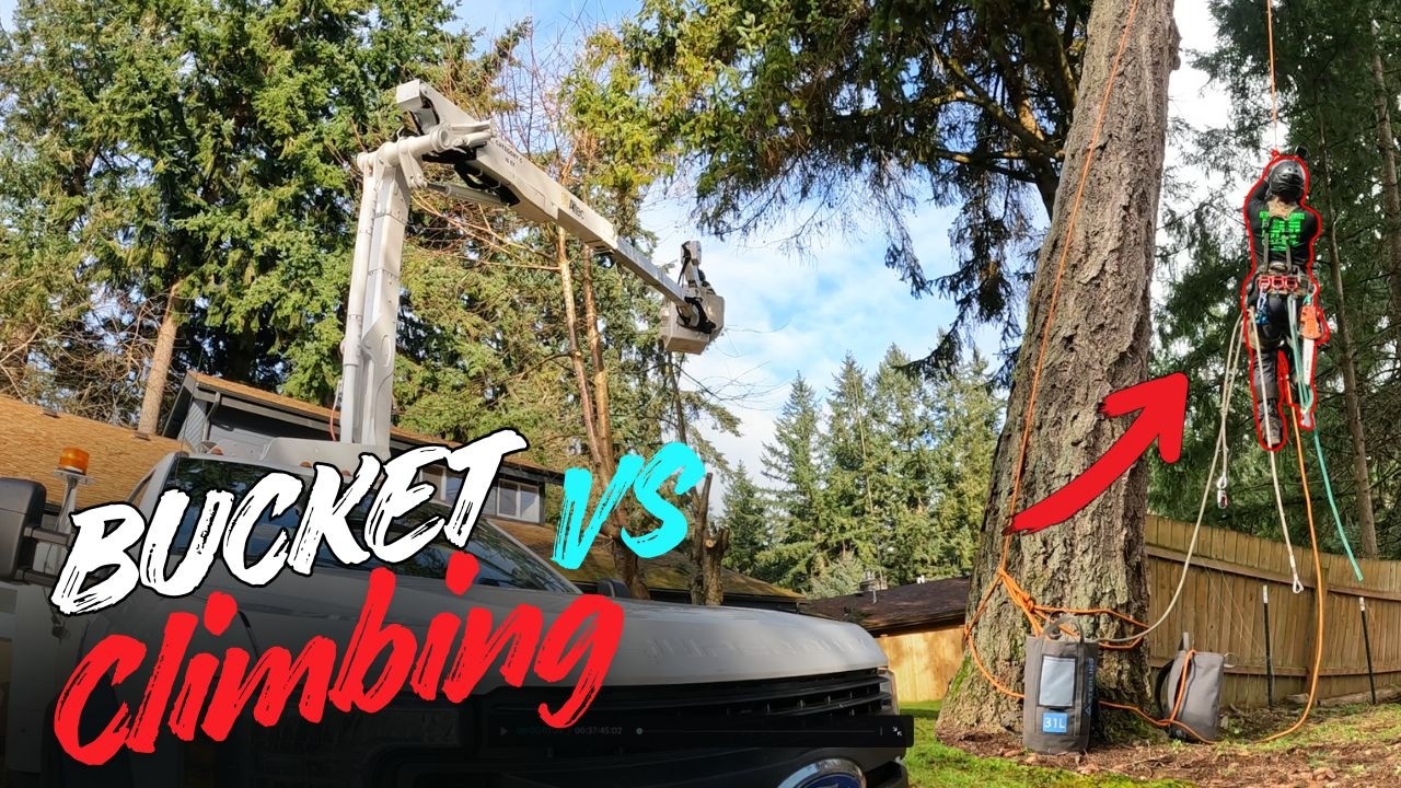Tree Removal Using a Bucket Truck & Climbing