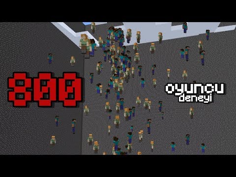 MINECRAFT: 800 players EXPERIMENT