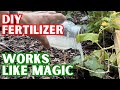 Vegetables Will Immediately Grow And Pruduce A Massive Harvest Water Once With This Solution