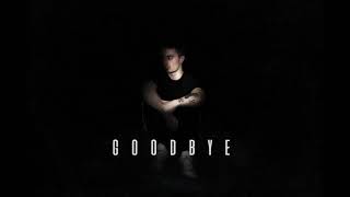 Goodbye Music Video