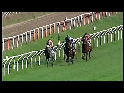 Galoppo 30/11/2020 - 2ª corsa