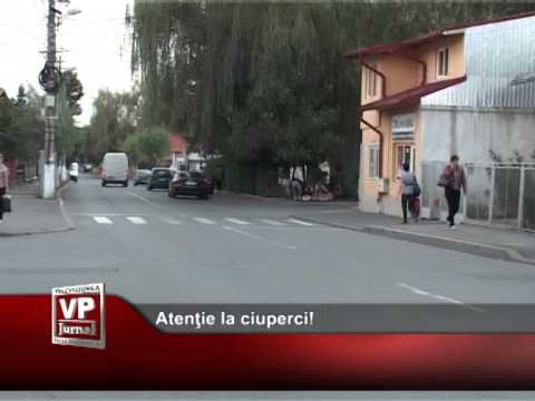 Atenţie la ciuperci!