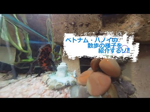 Béla Réthy は迷惑です: これをオフにする方法は次のとおりです