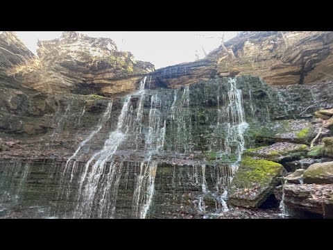 The Beginning of Our Adventures, Intro video! (Short Springs)