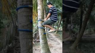 Download lagu Inovasi Alat panjat pohon kelapa yang sederhana #shorts mp3 Download lagu Inovasi Alat panjat pohon kelapa yang sederhana #shorts mp3