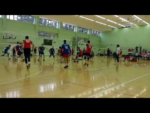 OK Crvena Zvezda(kadeti)