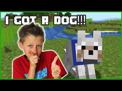 I GOT A DOG!!!