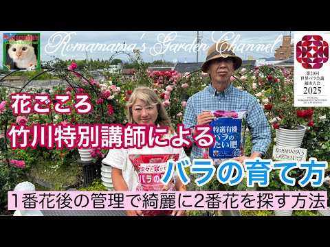 クリビアの肥料は何ですか？どうやって花を咲かせるのですか？  庭園