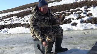 Клев рыбы в ленинградской области бережки