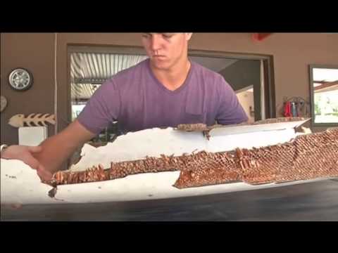 Bllok Bota, 21 Mars 2016 - Top Channel Albania - News - Lajme