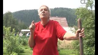Голова садовая. Как подружиться с земляникой