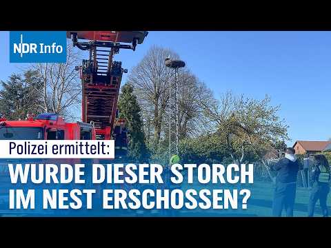 Video Thumbnail: Ein Dorf unter Schock: Wurde der Storch gezielt erschossen? | NDR Info