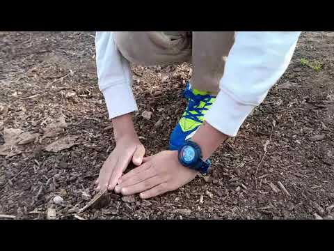 El huerto de Alberto