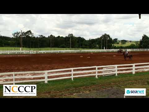 NCCCP 2022 - Andaduras / Figura / VSP e Esbarradas