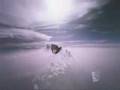 Feeder - 'Descend' - Unofficial Music Video