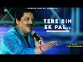 Tere Bin Ek Pal Udit Narayan Jaspinder Narula Nadeem Shravan Best Hindi Song
