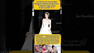 Download lagu C4ntik Par4h! Dilrab4 B4k Peng4ntin W4nita Serb4 Pvtih, Tingg4l Nunggv C4lon Su4minya Nih 😍👰 mp3