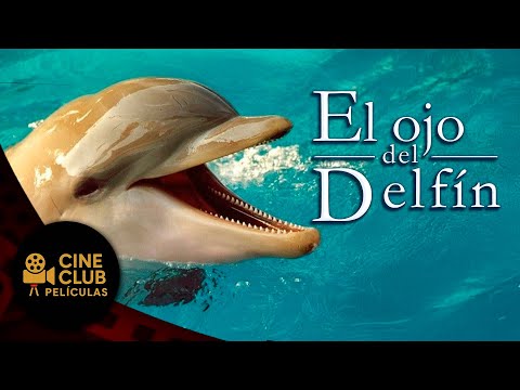 PELÍCULA COMPLETA EN ESPAÑOL 🎬 El Ojo Del Delfin | Drama Familiar (HD)