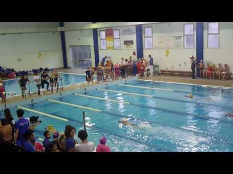 Shani K.-Vichi N. 50D1 (Es.C Masc.) - 2016/2017 - Camp.Giov. - Tavarnuzze - 04/12/16