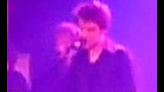 The Cooper Temple Clause - Blind Pilots