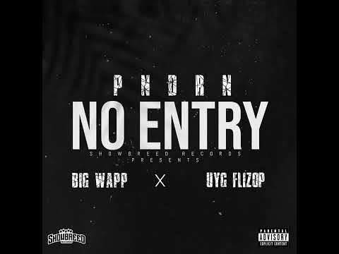 PNDRN x Big Wapp x UYG Flizop - No Entry (Official Audio)