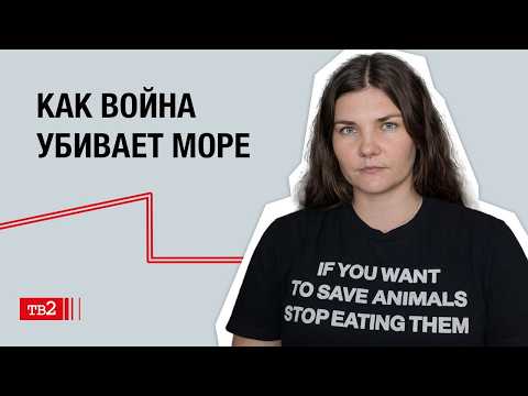 Массовая гибель дельфинов и крах экодвижения в России | Ирина Шулгестерова