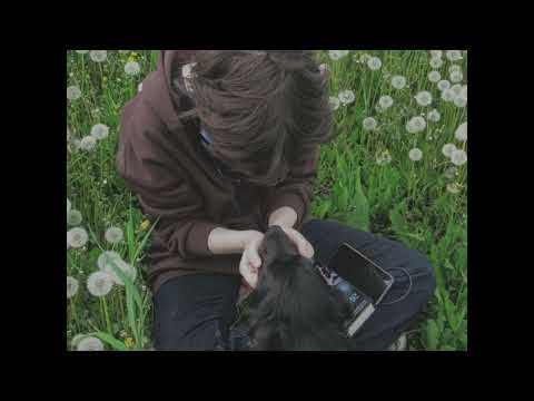 [free] acoustic guitar + midwest emo + guardin type beat - "last words"