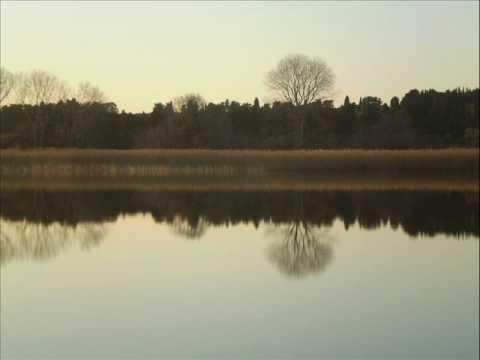 Ventreianca - Pija cuscienza (play on riddim) 2006