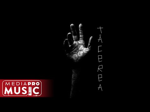 Dragos Moldovan - Tacerea (Official Audio)