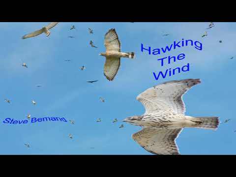 Steve Bemand Hawking The Wind