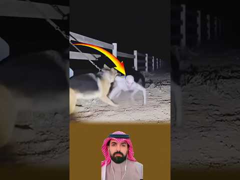 لا يُصدق ما حدث الكلب لم يخف، ظل يواجه الكائن الغامض والرجل يتمسك به بكل ما لديه من قوة #اكسبلور