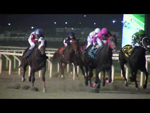 230624 c13 - NAVIDAD BLANCA - HIPODROMO DE MAROÑAS