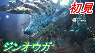ジンオウガやっぱイケメンだね【モンスターハンターワールドアイスボーン新天地で狩猟生活】