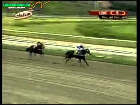 LA RINCONADA 5 CARRERA SABADO 23 DE AGOSTO DEL 2014